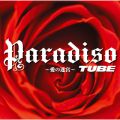 アルバム - Paradiso 〜愛の迷宮〜 / TUBE