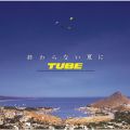 アルバム - 終わらない夏に / TUBE
