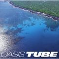 アルバム - OASIS / TUBE