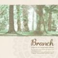 アルバム - Rewrite Arrangement Album 'Branch' / VISUAL ARTS ／ Key