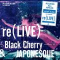 cҖ̋/VO - WALK OF MY LIFE re(LIVE) -Black Cherry- (iamSHUM Non-Stop Mix) in Osaka at IbNX (2019.10.13)