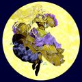 ROSEの曲/シングル - めろんぱん