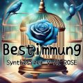Bestimmung(Demo ver．)