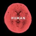 アルバム - HUMAN / 福山雅治