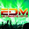 アヴィーチーの曲/シングル - Levels (Skrillex Remix)