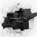 Without You feat. Sandro Cavazza (Remixes)